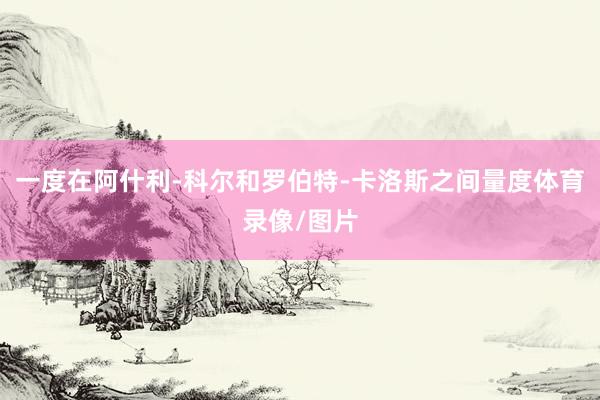 一度在阿什利-科尔和罗伯特-卡洛斯之间量度体育录像/图片