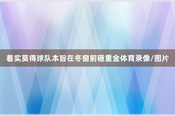 着实莫得球队本旨在冬窗前砸重金体育录像/图片