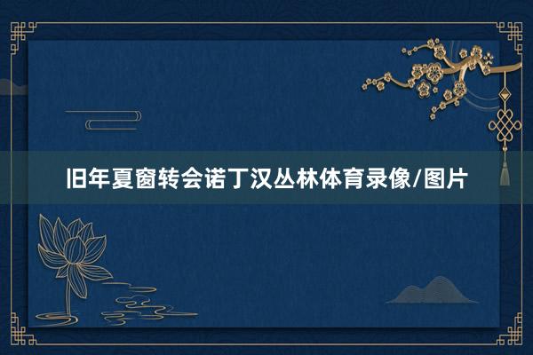 旧年夏窗转会诺丁汉丛林体育录像/图片
