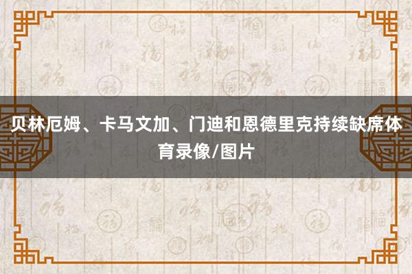 贝林厄姆、卡马文加、门迪和恩德里克持续缺席体育录像/图片