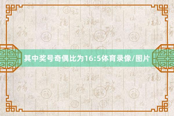 其中奖号奇偶比为16:5体育录像/图片