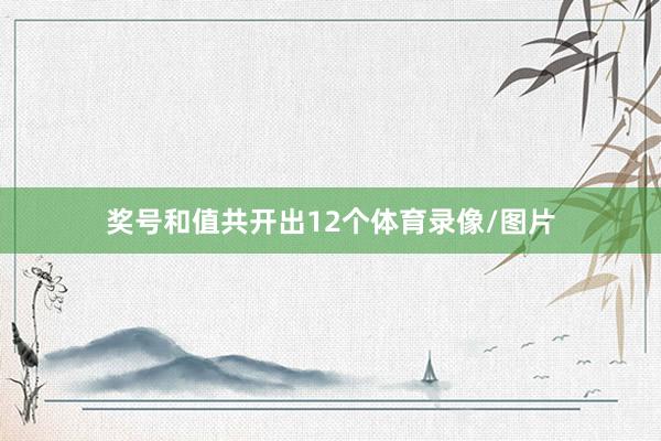 奖号和值共开出12个体育录像/图片