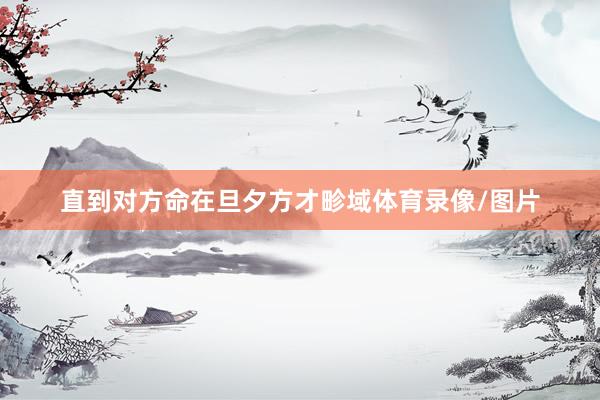 直到对方命在旦夕方才畛域体育录像/图片