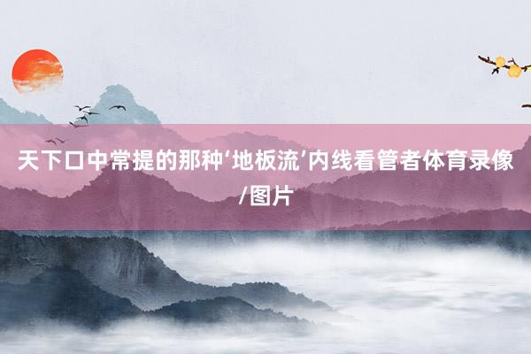 天下口中常提的那种‘地板流’内线看管者体育录像/图片