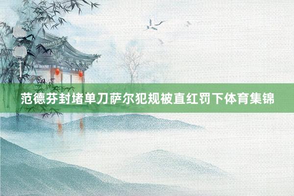 范德芬封堵单刀萨尔犯规被直红罚下体育集锦