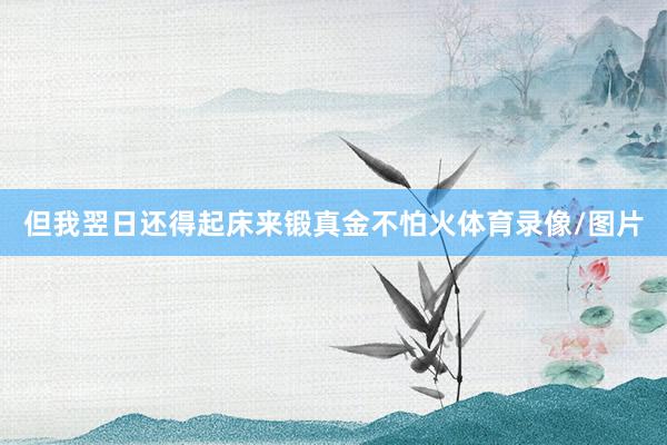 但我翌日还得起床来锻真金不怕火体育录像/图片