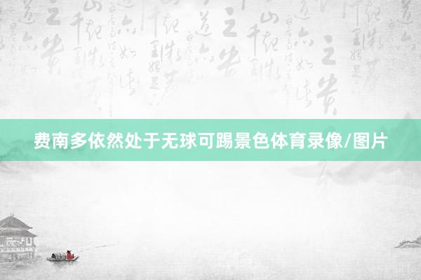 费南多依然处于无球可踢景色体育录像/图片