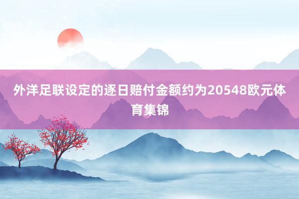 外洋足联设定的逐日赔付金额约为20548欧元体育集锦