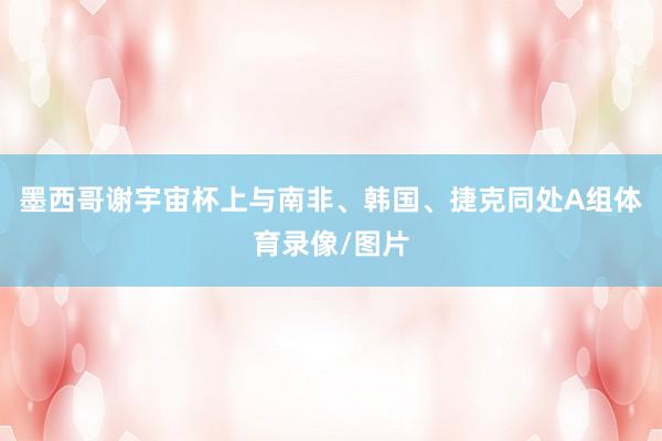 墨西哥谢宇宙杯上与南非、韩国、捷克同处A组体育录像/图片