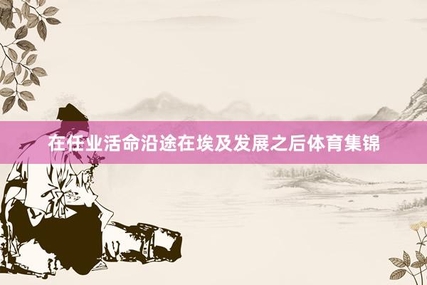 在任业活命沿途在埃及发展之后体育集锦