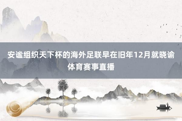 安谧组织天下杯的海外足联早在旧年12月就晓谕体育赛事直播