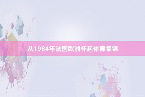 从1984年法国欧洲杯起体育集锦
