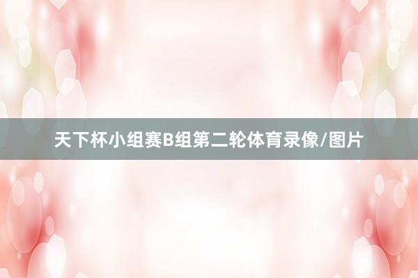 天下杯小组赛B组第二轮体育录像/图片